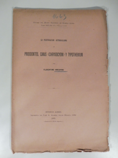 La perforacion astragaliana en priodontes, canis (chrysocyon) y typotherium
